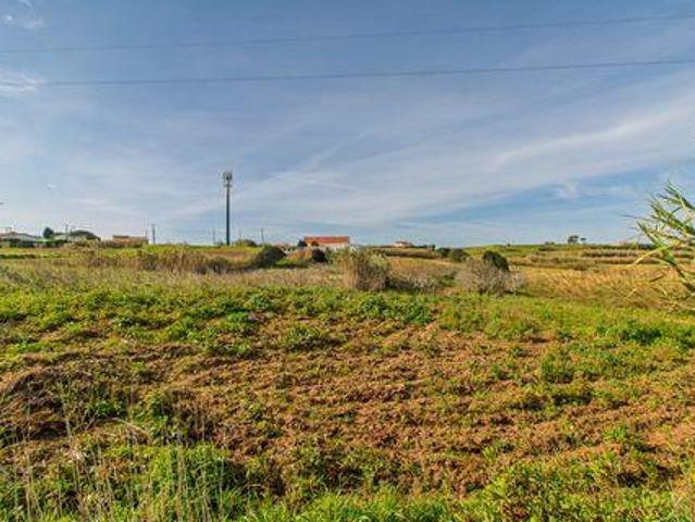 Mafra Lisboa 97107184