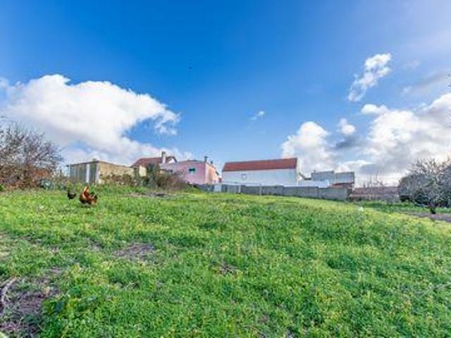Mafra Lisboa 99445797