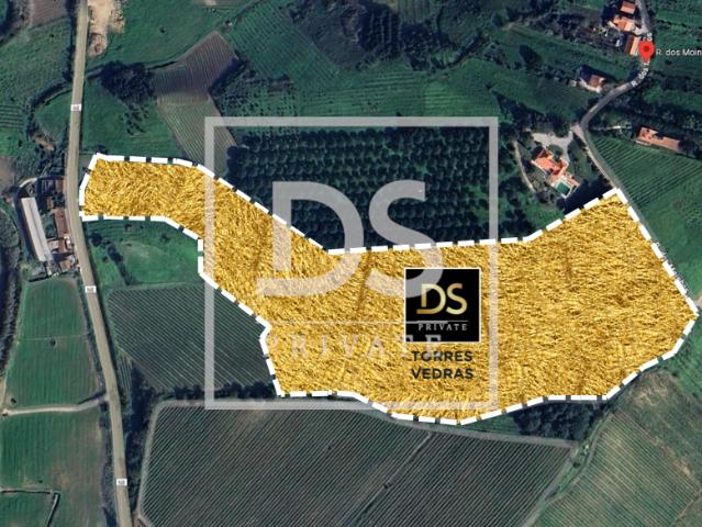 Mafra Lisboa LS89446286