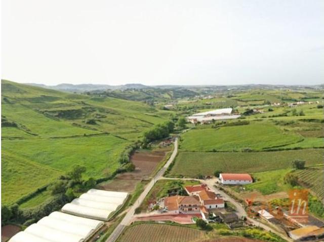 Mafra Mafra 94088668