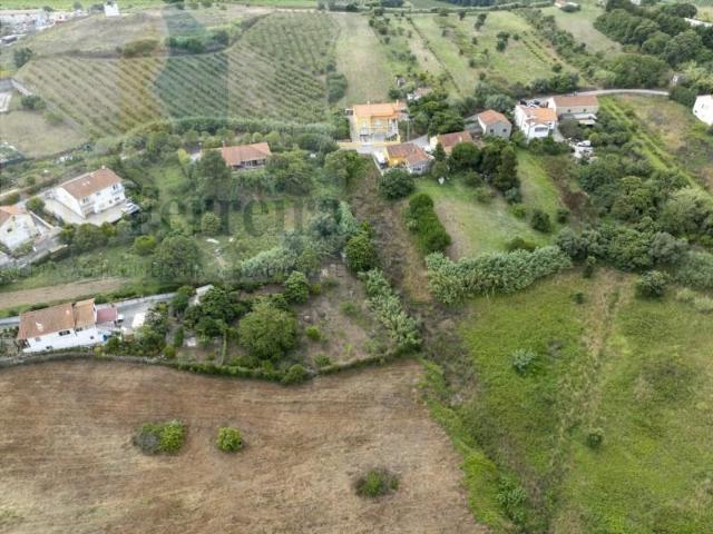 Mafra Mafra 97086368
