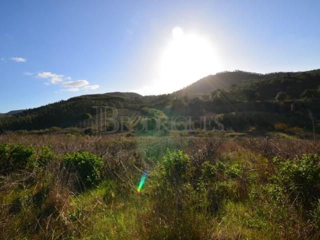 Mafra Mafra 98106377