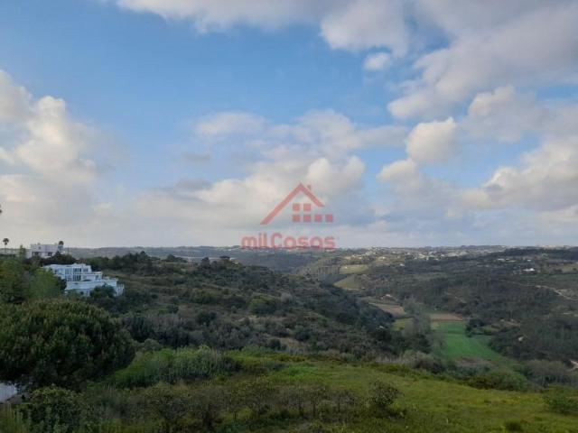 Mafra Mafra 98277485