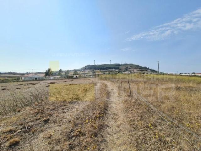 Mafra Mafra 102746513