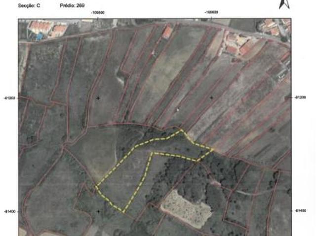 Mafra Mafra 103360731