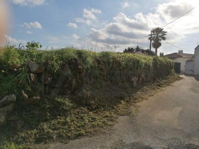 Mafra Mafra 104090615