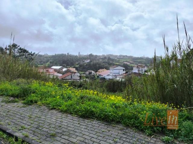 Mafra Mafra LS99102929