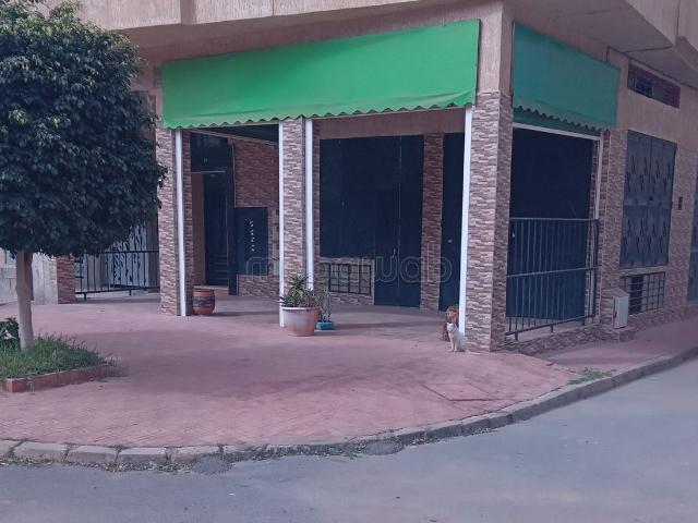 Magasin avec cave