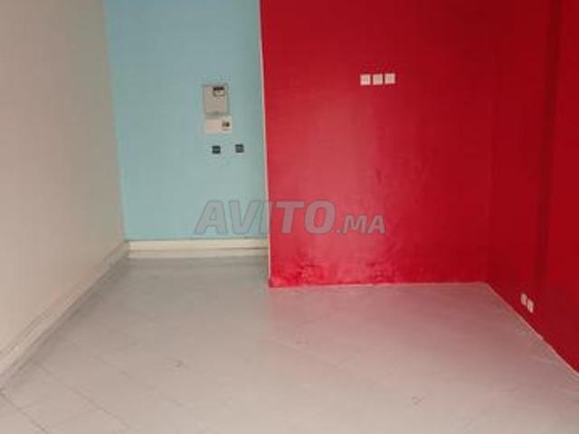 Magasin aménagé à palmier 30m2