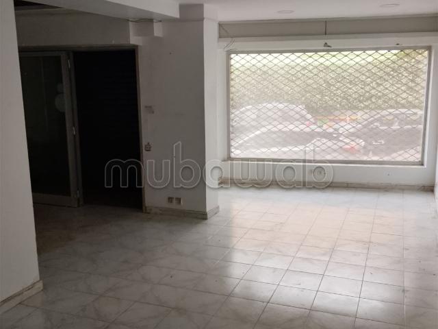 Magasin aménagé à palmier 52m2