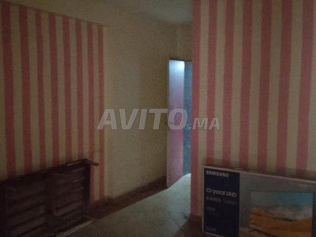 Magasin aménagé à palmier 52m2