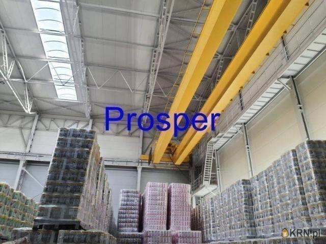 Magazyn na sprzedaż woj. małopolskie. Olkusz, 9 893 000 PLN, 4 300,00 m2