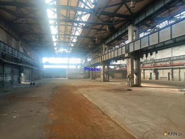 Magazyn na sprzedaż woj. śląskie. Zabrze, 5 900 000 PLN, 6 001,00 m2