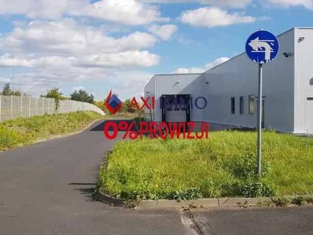 Magazyn, Łódź, 13045.00 m², wynajmę magazyn