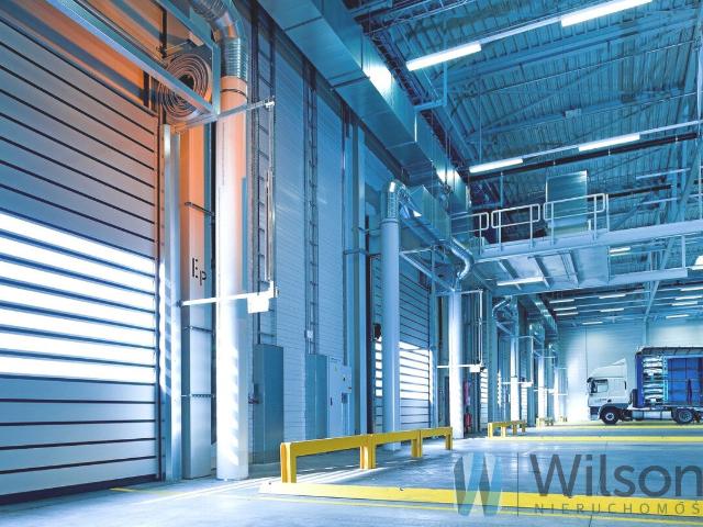Magazyn, Bielany Wrocławskie, Logistyczna, 1300.00 m², wynajmę magazyn