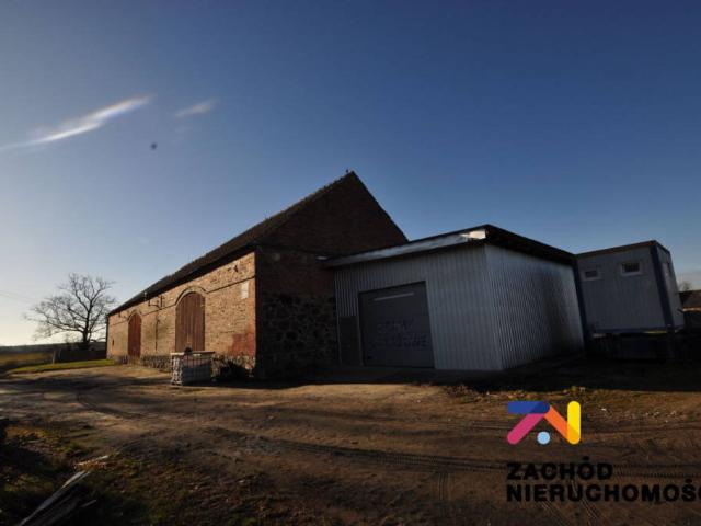 Magazyn, Brzeźnica, 390.00 m², wynajmę magazyn