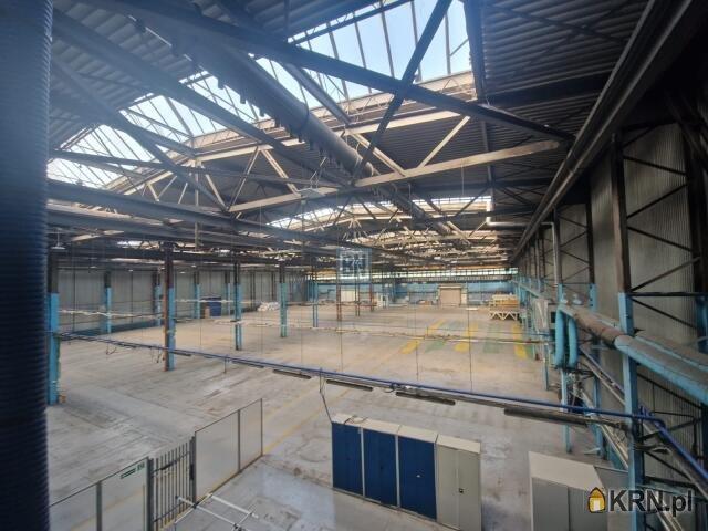 Magazyn do wynajęcia woj. śląskie. Mikołów, 237 000 PLN, 9 000,00 m2