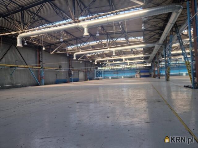 Magazyn do wynajęcia woj. śląskie. Mikołów, 66 000 PLN, 3 000,00 m2