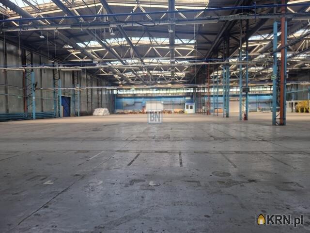 Magazyn do wynajęcia woj. śląskie. Mikołów, 66 000 PLN, 3 000,00 m2