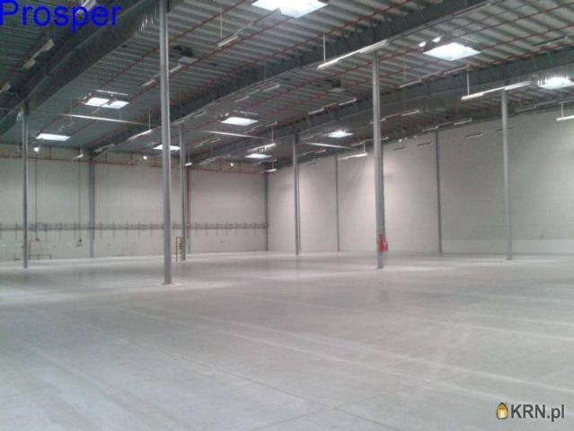 Magazyn do wynajęcia woj. śląskie. Będzin, 21 600 PLN, 720,00 m2