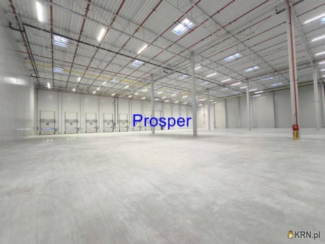 Magazyn do wynajęcia woj. śląskie. Czeladź, 25 000 PLN, 600,00 m2