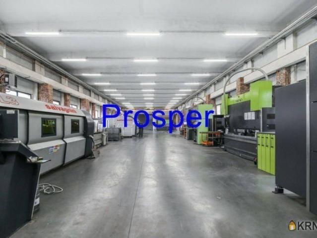 Magazyn do wynajęcia woj. śląskie. Sosnowiec, 25 000 PLN, 711,00 m2