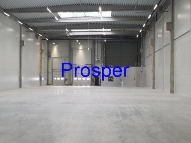 Magazyn do wynajęcia woj. śląskie. Zabrze, 32 500 PLN, 1 300,00 m2