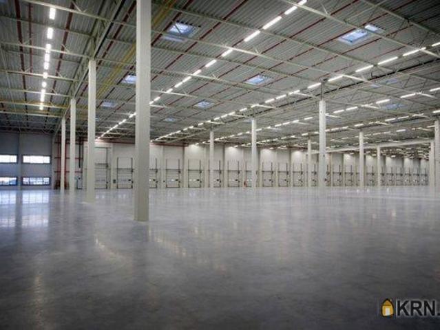 Magazyn do wynajęcia woj. mazowieckie. Błonie, 275 000 EUR, 125 000,00 m2