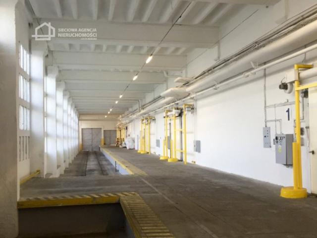 Magazyn do wynajęcia woj. pomorskie. Gdańsk, Nowy Port, 16 625 PLN, 475,00 m2