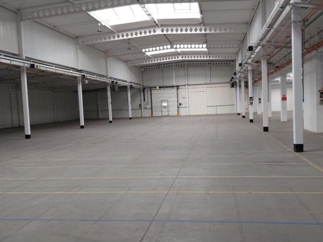 Magazyn, Katowice, 1242.00 m², wynajmę magazyn