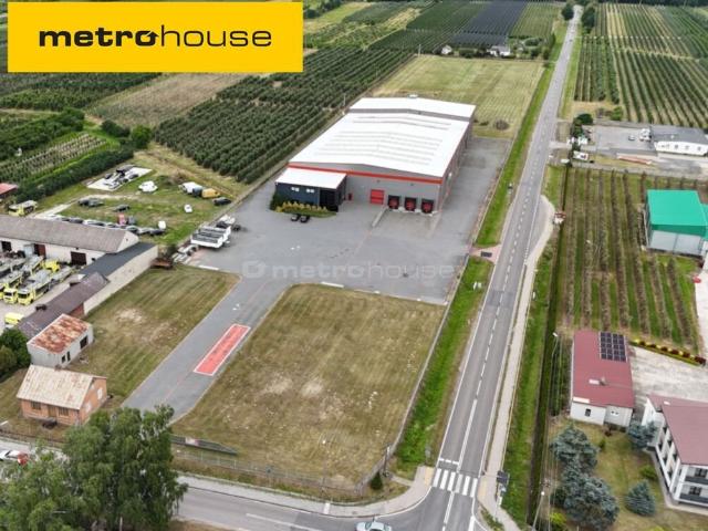 Magazyn, Konary, 7279.00 m², sprzedam magazyn