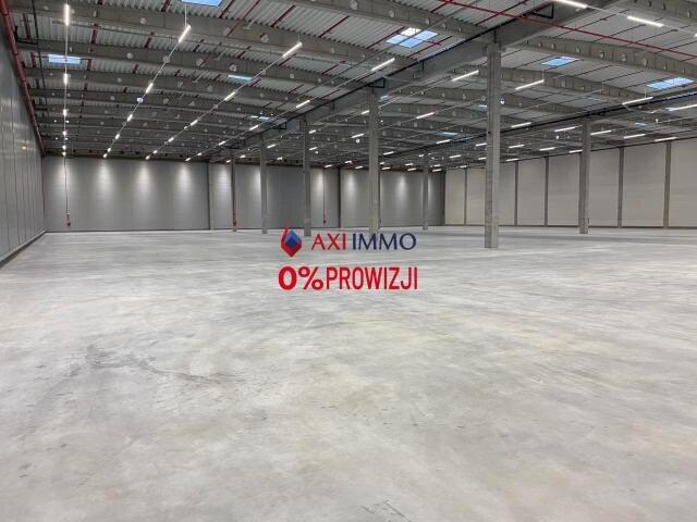Magazyn, Koninko, 5670.00 m², wynajmę magazyn