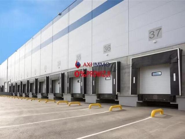 Magazyn, Plewiska, 6885.00 m², wynajmę magazyn