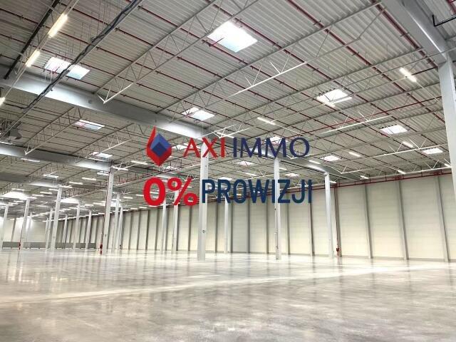 Magazyn, Rudno, 5000.00 m², wynajmę magazyn