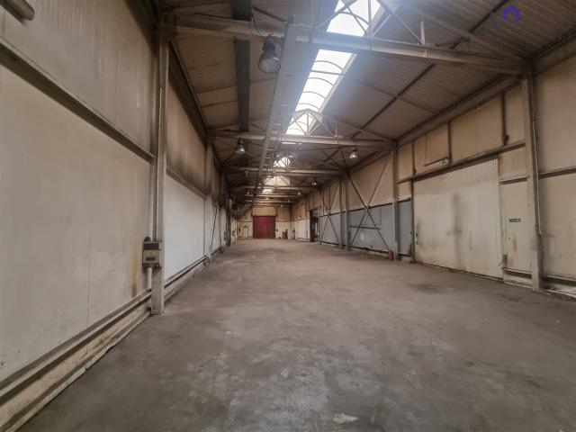 Magazyn, Ruda Śląska, 560.00 m², wynajmę magazyn