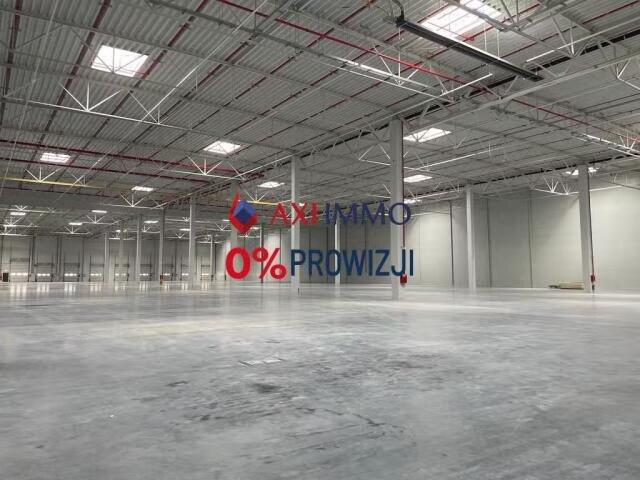 Magazyn, Rzeszów, 15000.00 m², wynajmę magazyn