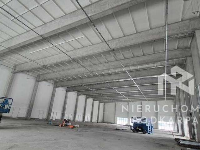 Magazyn, Rzeszów, Biznesowa, 675.00 m², wynajmę magazyn