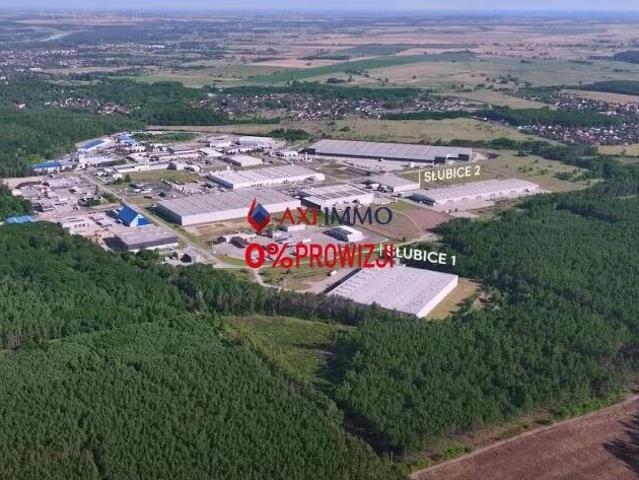 Magazyn, Słubice, 15827.00 m², wynajmę magazyn