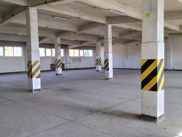 Magazyn, Sosnowiec, Ptasia, 1168.00 m², wynajmę magazyn