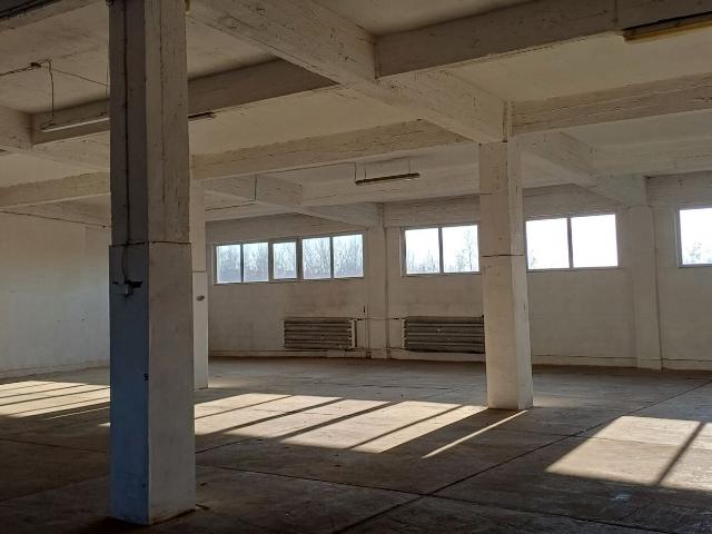 Magazyn, Sosnowiec, Ptasia, 826.00 m², wynajmę magazyn