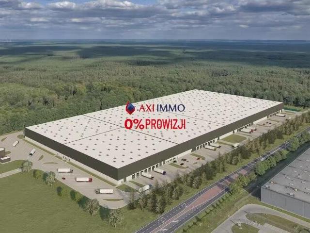 Magazyn, Świecko, 9353.62 m², wynajmę magazyn