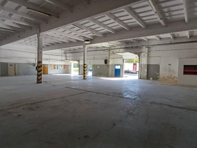 Magazyn 1713 m² z biurem, rampami i parkingiem