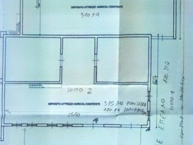 Magazzino Celle Frigo 1000 mq