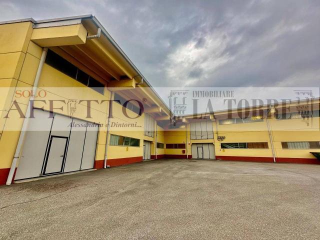 Magazzino in affitto a Alessandria