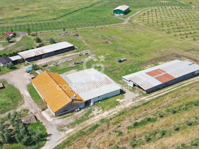 Magazzino in vendita a Montalto Di Castro