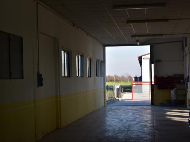 Magazzino in Vendita a Bovolenta
