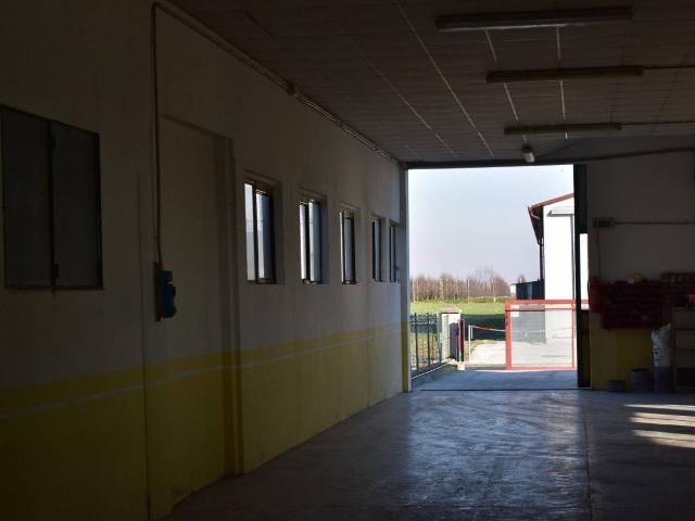 Magazzino in vendita a Bovolenta