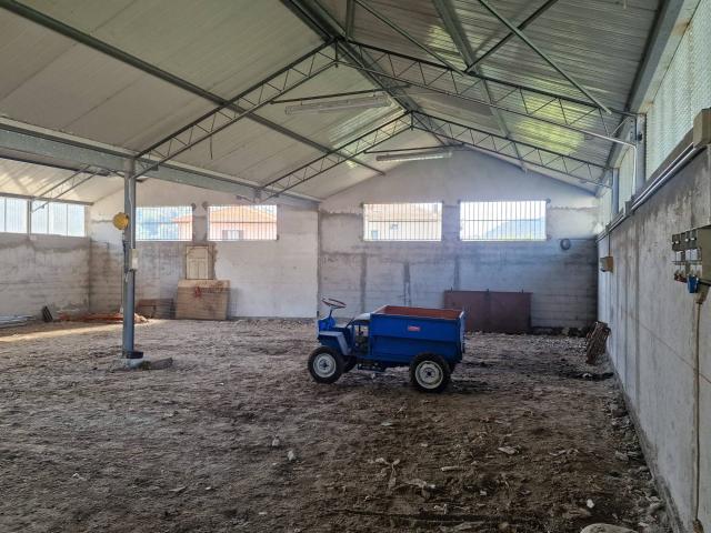 Magazzino in vendita a Camporosso