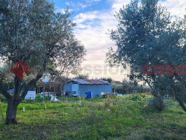 Magazzino in vendita a Cecina