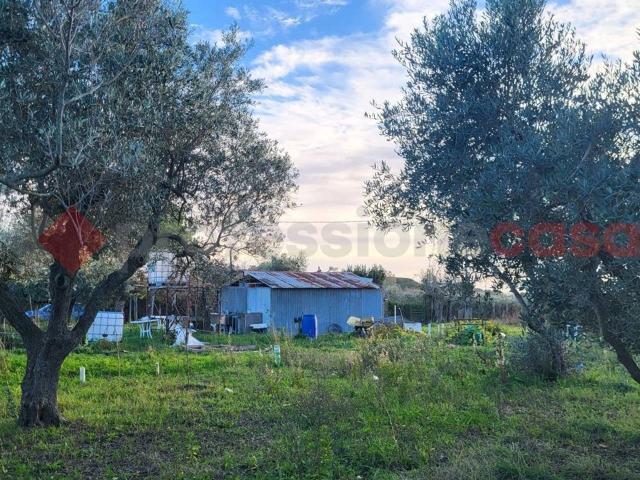 Magazzino in vendita a Cecina